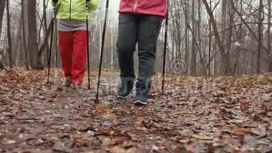 <strong>北欧漫步</strong>秋季公园-两位高级女士在户外训练